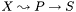 $X\leadsto P\rightarrow S$